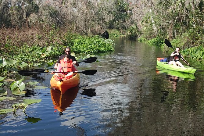 Wekiva Wildlife Kayaking Adventure Tour - The Return Trip: Easy Pace, More Time for Wildlife Moments