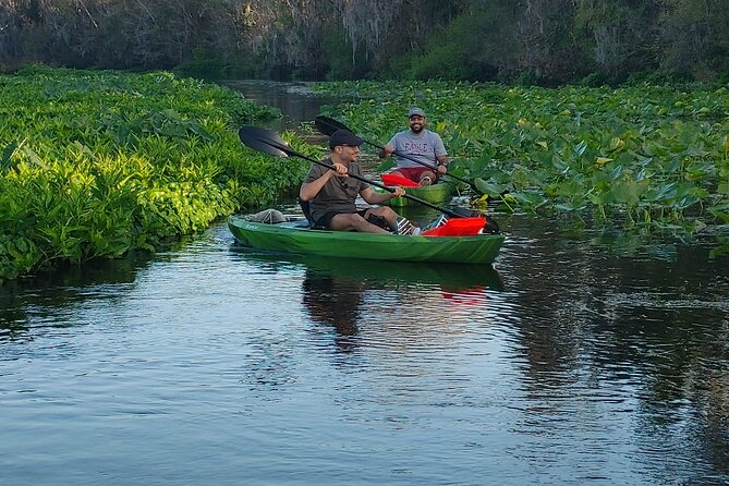 Wekiva Wildlife Kayaking Adventure Tour - What’s Included: The Gear That Makes or Breaks a Kayak Trip