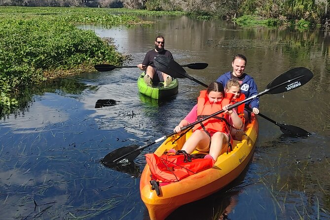 Wekiva Wildlife Kayaking Adventure Tour - Getting On the Water at 379 Malekean Trail (and What to Expect)