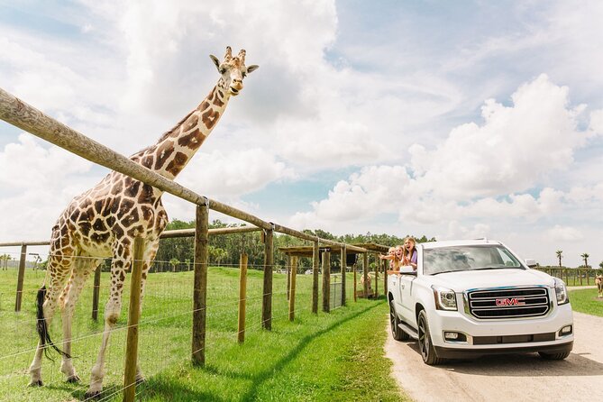 Wild Florida Drive-Thru Safari and Gator Park Admission - Key things that make this visit work