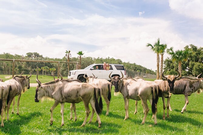 Wild Florida Drive-Thru Safari and Gator Park Admission - Turning in for Gator Park: More Animals, More Walk-Through Time
